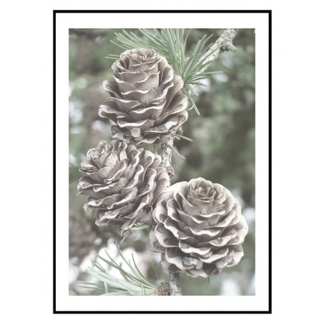 Постер "Лиственница"