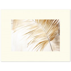 Паспарту "Слонова кістка"