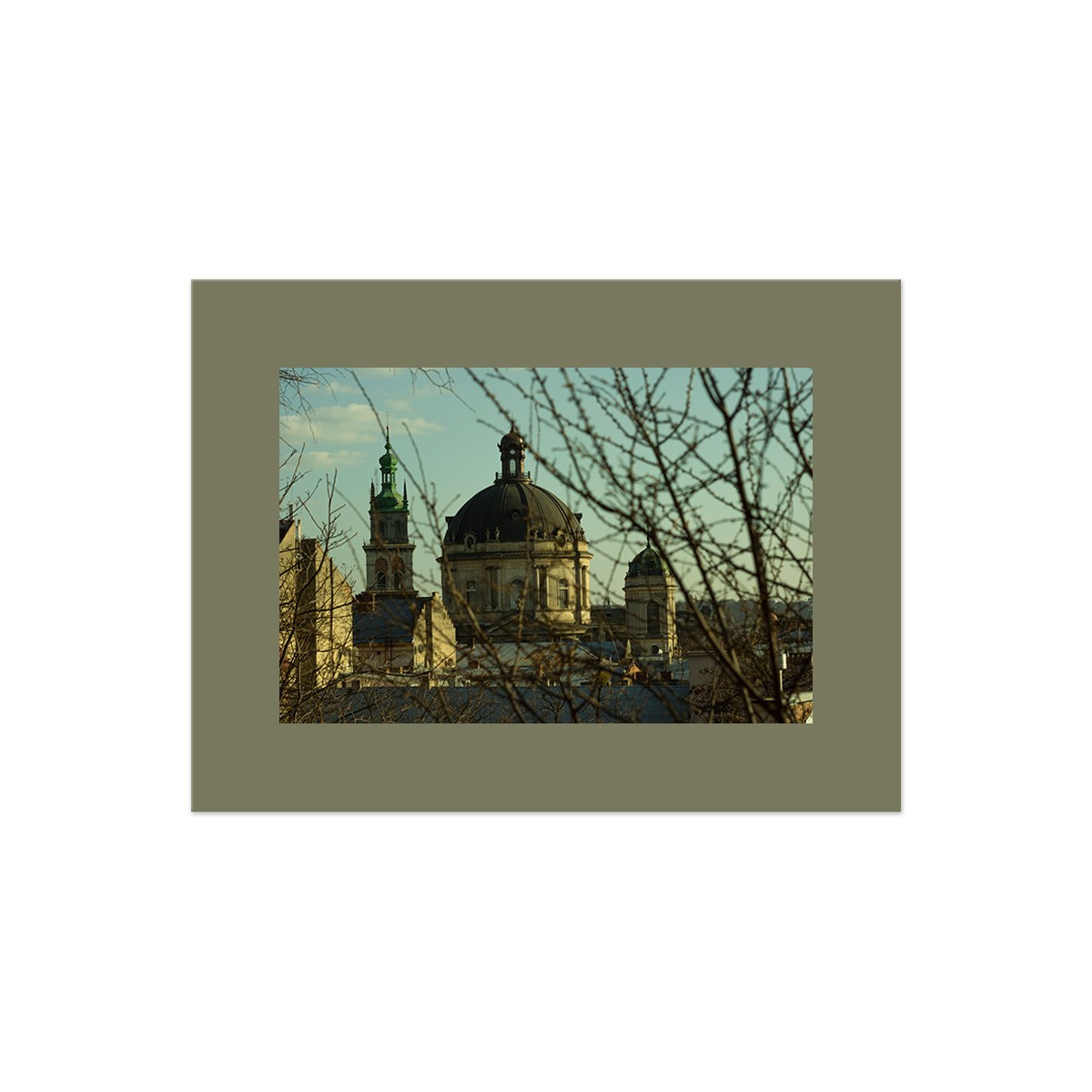 Паспарту "Кедр"