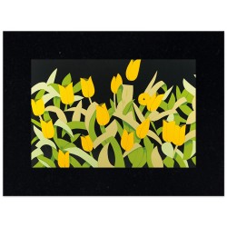 Паспарту бархат "Вампир"