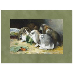 Паспарту бархат "Оливка"