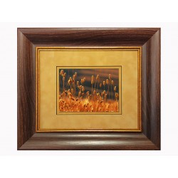 Паспарту бархат "Одуванчик"