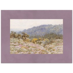 Паспарту бархат "Сирень"