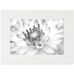 Паспарту металлик "Жемчужина"