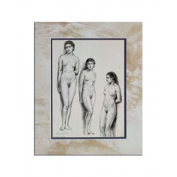 Паспарту декоративное "Лунный свет"