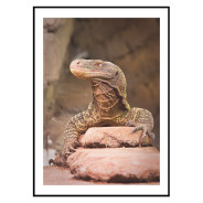Постер "Varan"