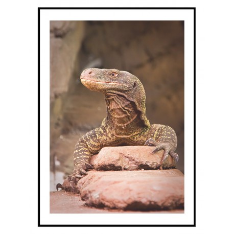 Постер "Varan"