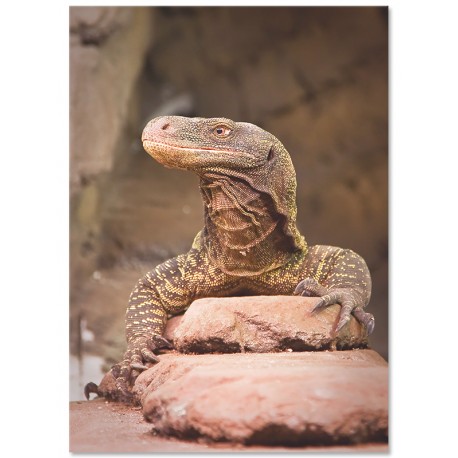 Постер "Varan"