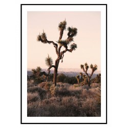 Постер "Дерево Джошуа"