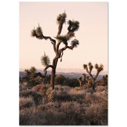 Комплект постеров "Journey"