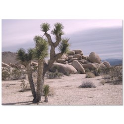 Комплект постеров "Journey"