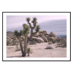 Комплект постерів в рамках "Journey"