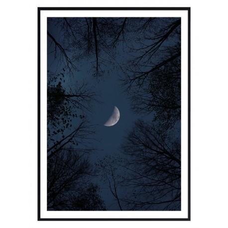 Постер "Crescent"