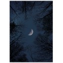 Постер "Crescent"
