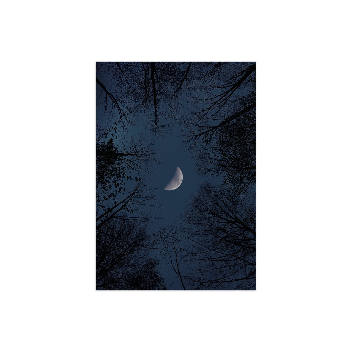 Постер "Crescent"