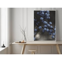 Постер "Терн"