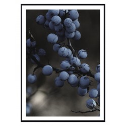 Постер "Терн"