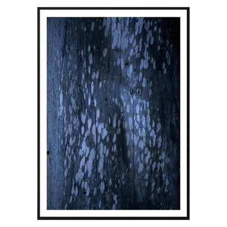 Постер "Tree bark"
