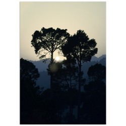 Постер "Закат"