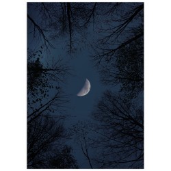 Комплект постерів "Blue night"