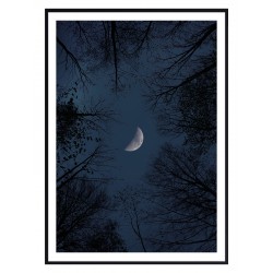 Комплект постерів в рамках "Blue night"