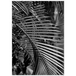 Комплект постерів "Felice"