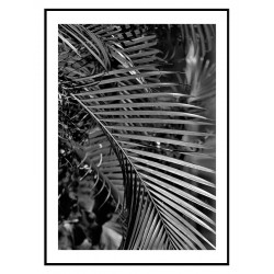 Комплект постерів в рамках "Felice"