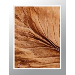 Комплект постерів в рамках "Прогулянка"