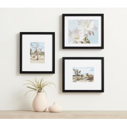 Комплект дерев'яних рамок "Tropicana" колір на вибір