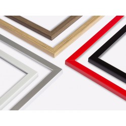 Комплект пластиковых рамок "Fortune" цвет на выбор