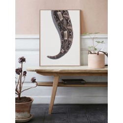 Постер "Габонская гадюка"