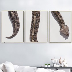 Постер "Габонська гадюка"