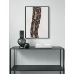 Постер "Габонская гадюка"