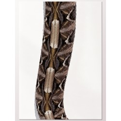 Постер "Габонська гадюка"