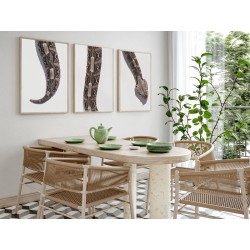 Комплект постерів в рамках "Габонська гадюка"