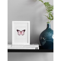 Рамка "Class" цвет на выбор