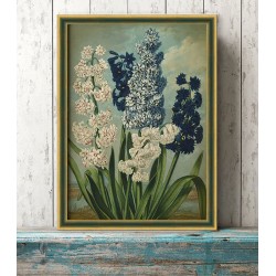 Рамка "Cabinet" цвет/размер на выбор