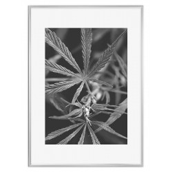 Рамка "Matt metal" цвет на выбор