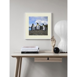 Постер "Пингвин"