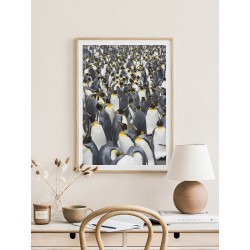 Постер "Пингвин"