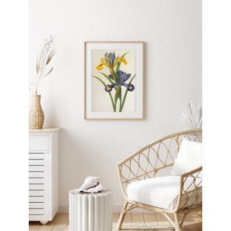 Комплект постерів "Botanical flowers"