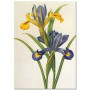 Комплект постерів "Botanical flowers"