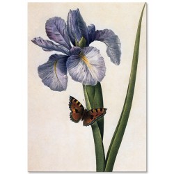 Комплект постерів "Botanical flowers"