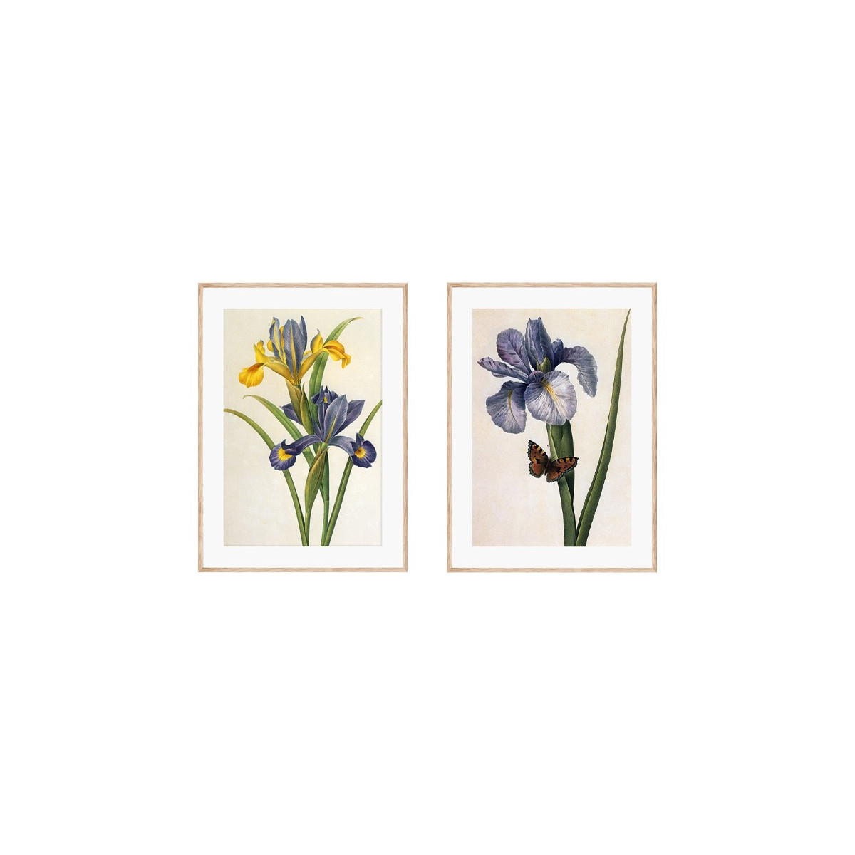 Комплект постерів "Botanical flowers"