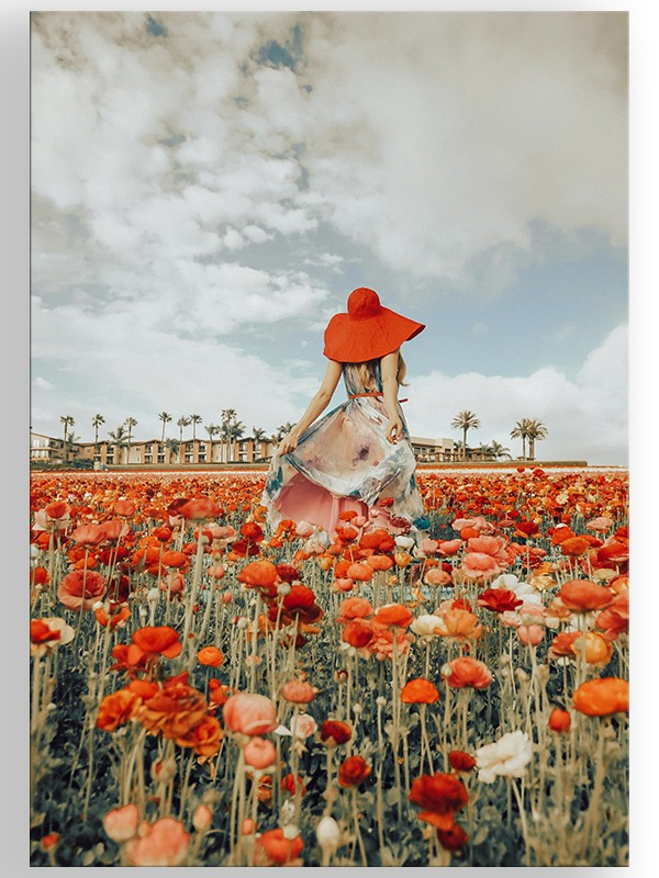 Постер "Квіткове поле" Постер "Квіткове поле"