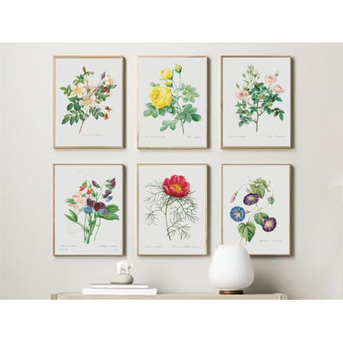 Постер "Botanical flowers" Постер "Botanical flowers"