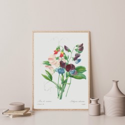 Постер "Botanical flowers"