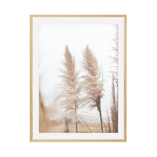 Постер "Herb" Постер "Herb"