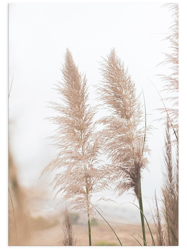 Постер "Herb" Постер "Herb"