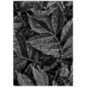 Постер "Leaves"